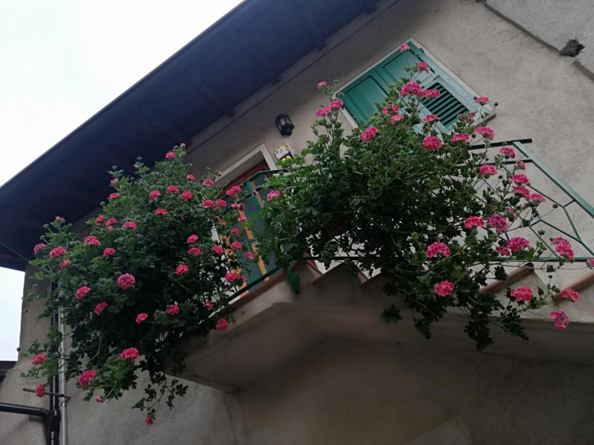 Апартаменти Casa Maria Lafinestrasulgarda Лімоне-суль-Гарда Екстер'єр фото